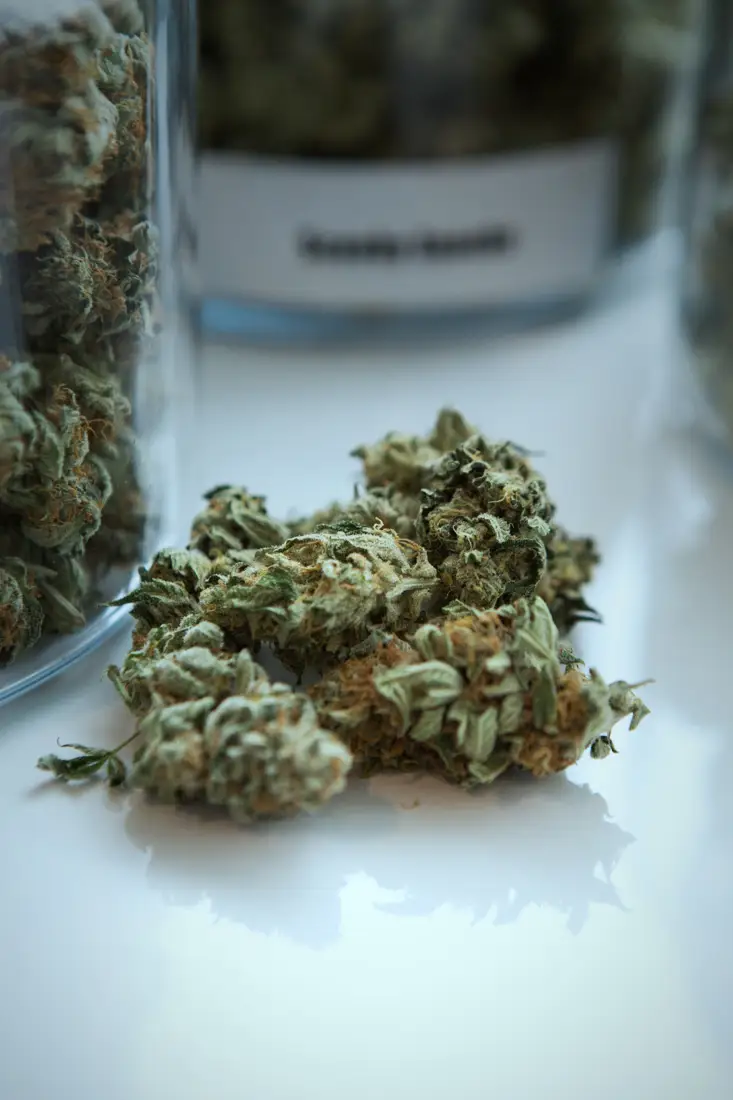 Cannabis flower in a jar