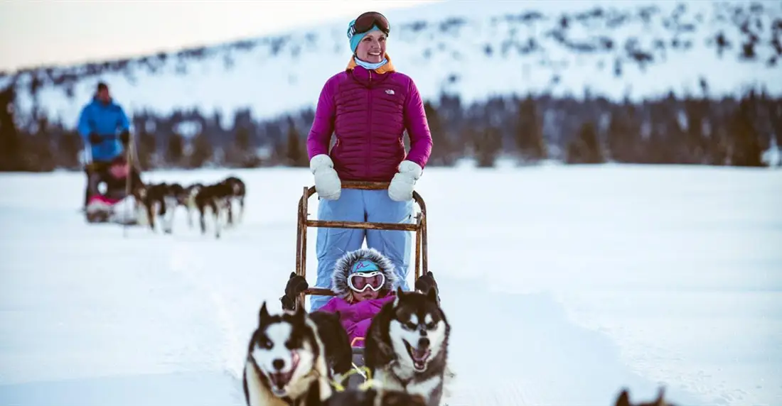 Musher with a team of huskies on snow